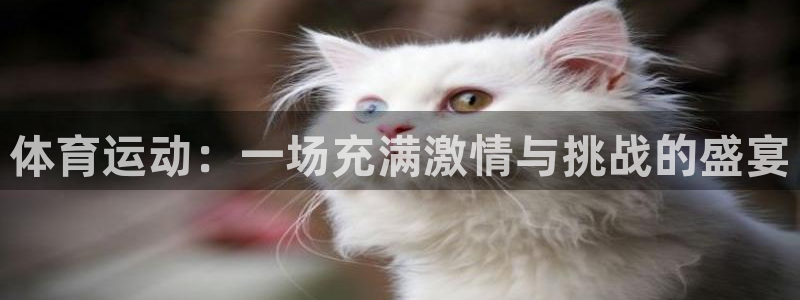 米兰体育网址