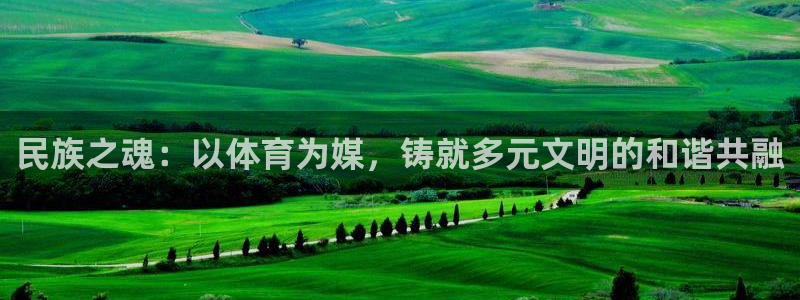 米兰体育网址