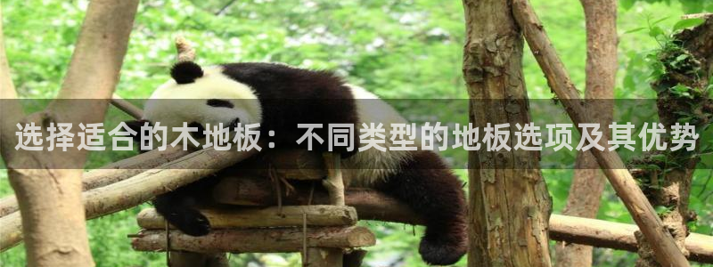 米兰体育网页版登录