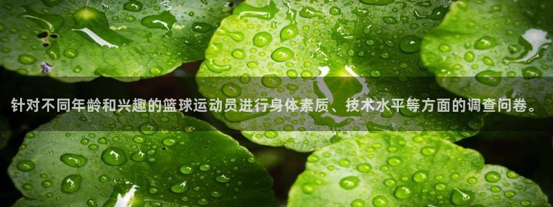 米兰体育下载官网最新版