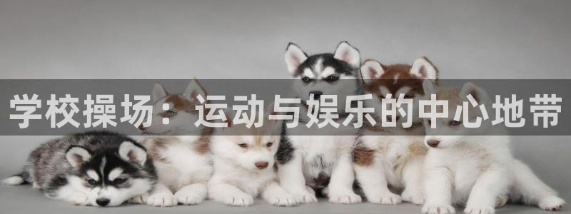 米兰体育