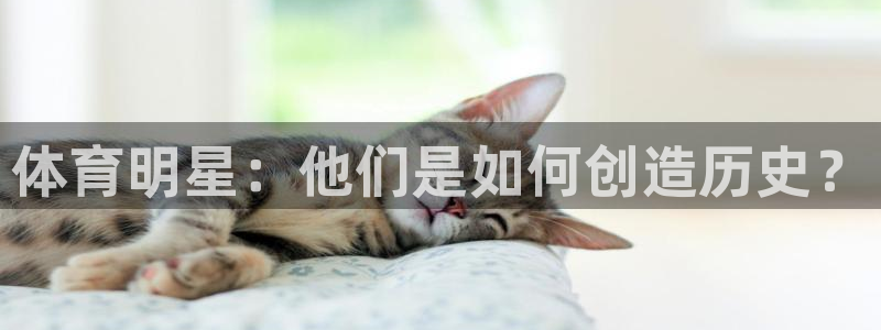 米兰体育最新版下载